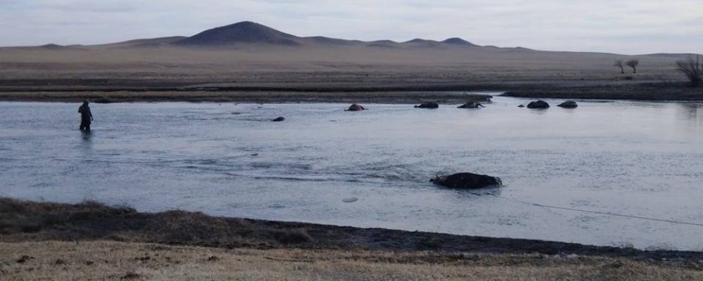 САЙН МЭДЭЭ: Хэрлэн голоос 500 орчим малын сэг зэмийг зайлуулж цэвэрлэв