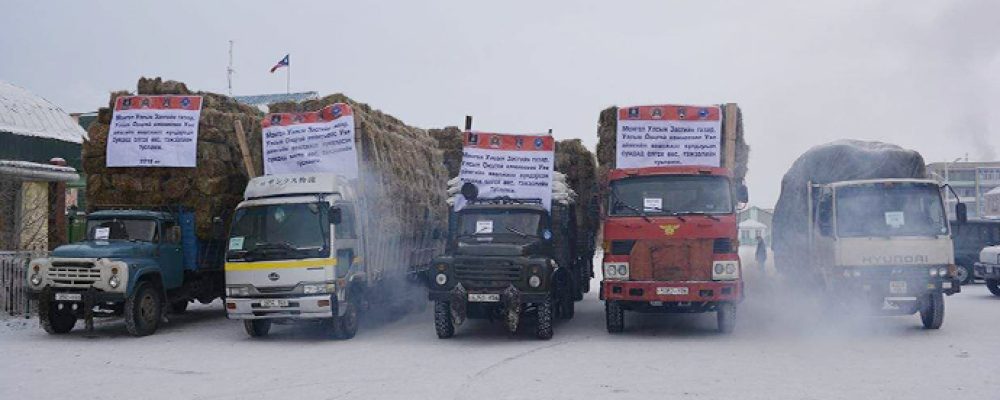 Увс аймагт 1060 тн өвс, 500 тн тэжээлийг 50%-ийн хямдралтай үнээр олгожээ