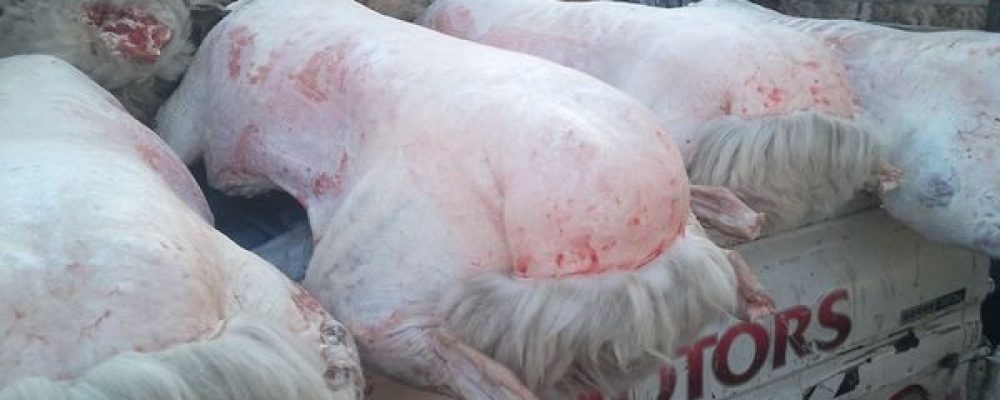 Сар шинийн баярын ширээний УУЦ дунджаар 207.5 мянган төгрөгийн үнэтэй байна