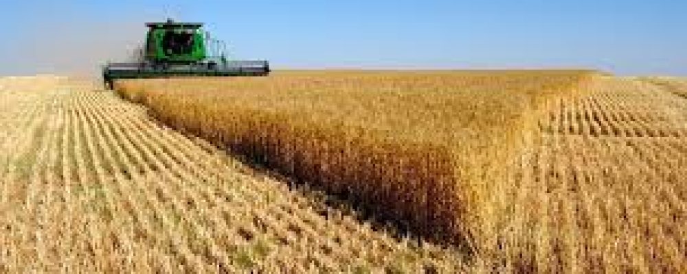 Монгол Улсын аварга ТАРИАЛАНЧИД тодорлоо